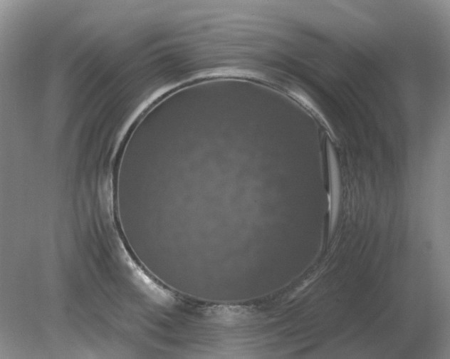 X0000079321092200611251758