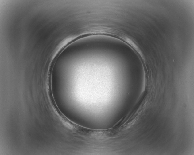 X0000079321093200611251758