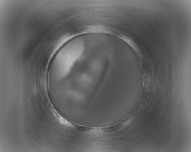 X0000079321094200611251758