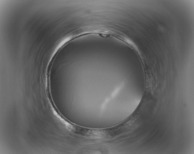 X0000079321095200611251758