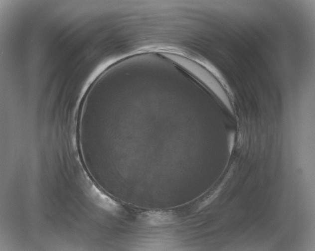 X0000079321102200611251758