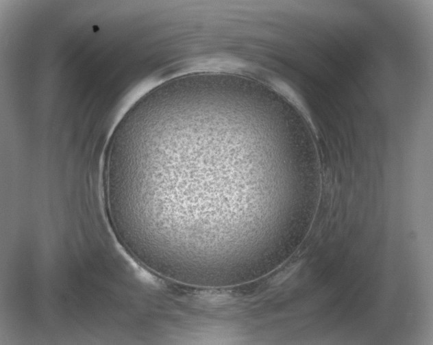 X0000079321103200611251758