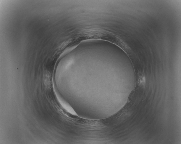 X0000079321108200611251757
