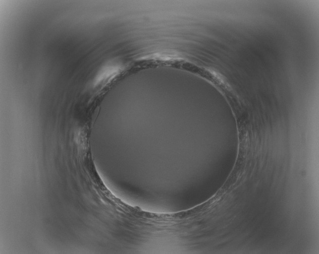 X0000079321110200611251757