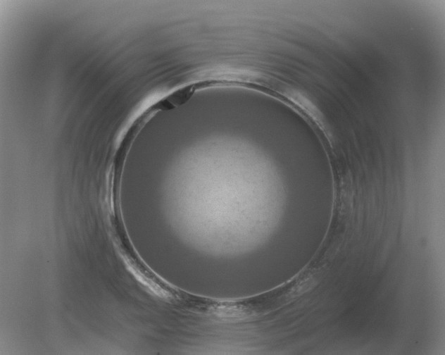 X0000079321128200611251757