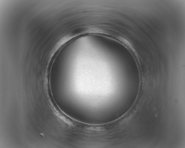 X0000079321133200611251758