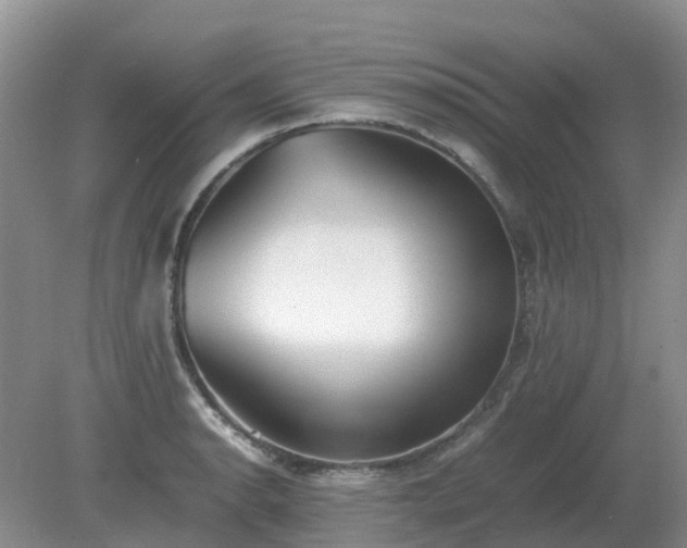 X0000079321134200611251758
