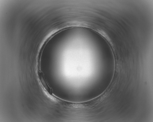 X0000079321136200611251758