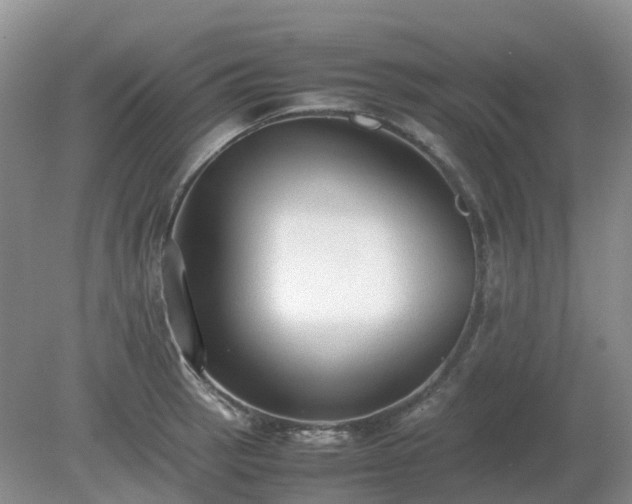 X0000079321137200611251758