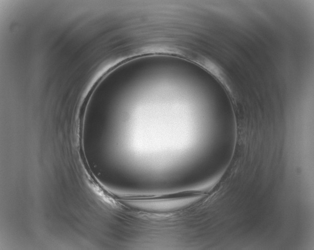 X0000079321140200611251758