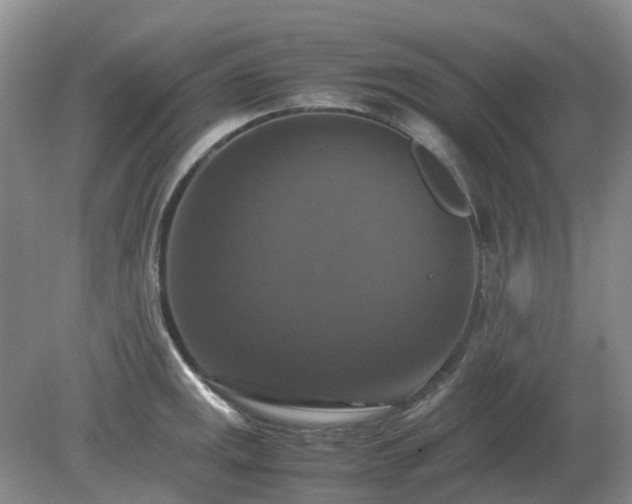 X0000079321141200611251758