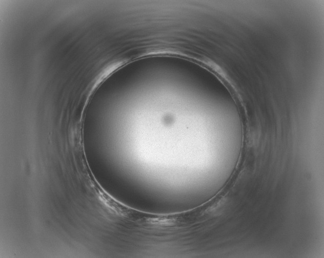 X0000079321145200611251758