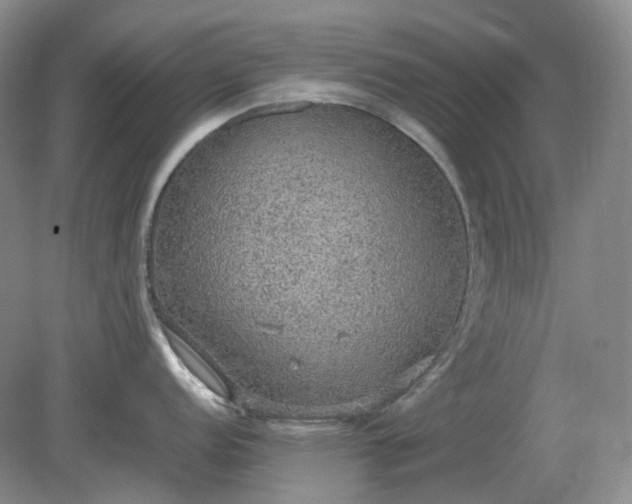 X0000079321152200611251758