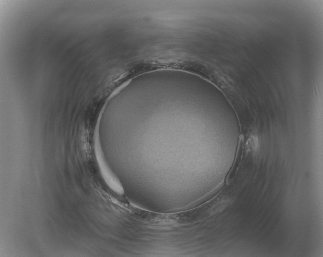 X0000079321156200611251757