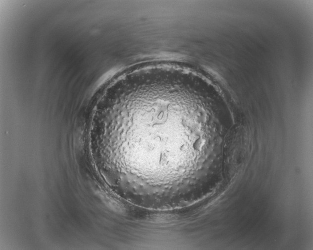 X0000079321163200611251757