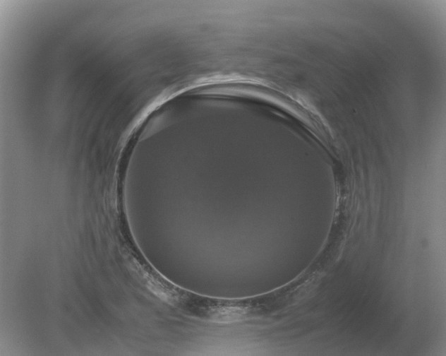 X0000079321173200611251757