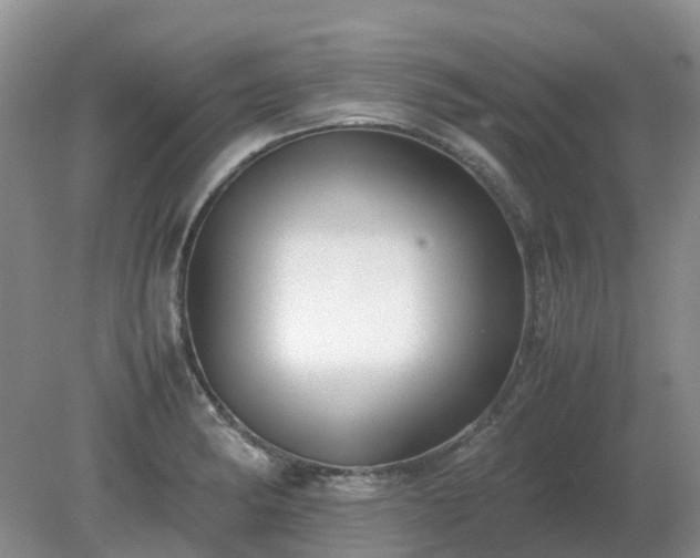 X0000079321182200611251757