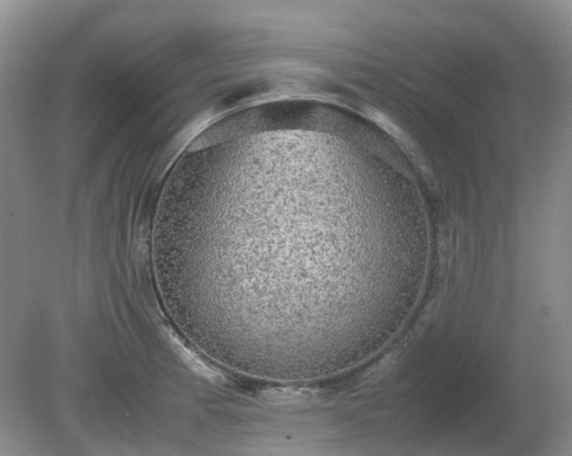 X0000079321185200611251757