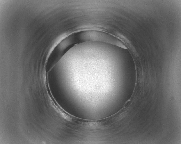 X0000079321188200611251757