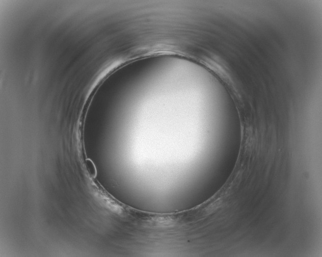 X0000079321190200611251756