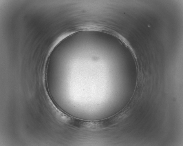 X0000079321195200611251756