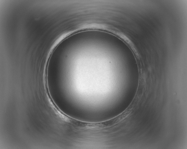 X0000079321199200611251756