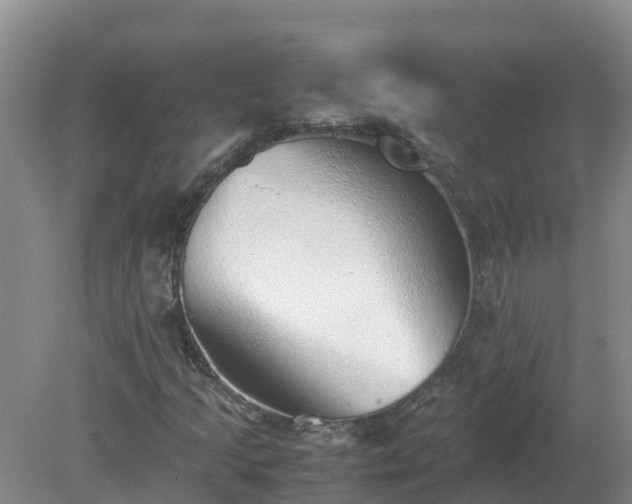 X0000079321205200611251756