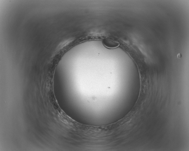 X0000079321207200611251756