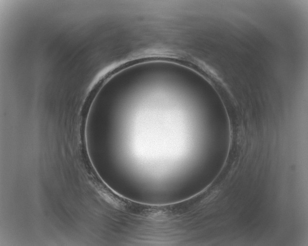 X0000079321222200611251756