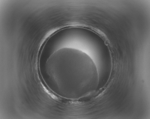 X0000079321231200611251756
