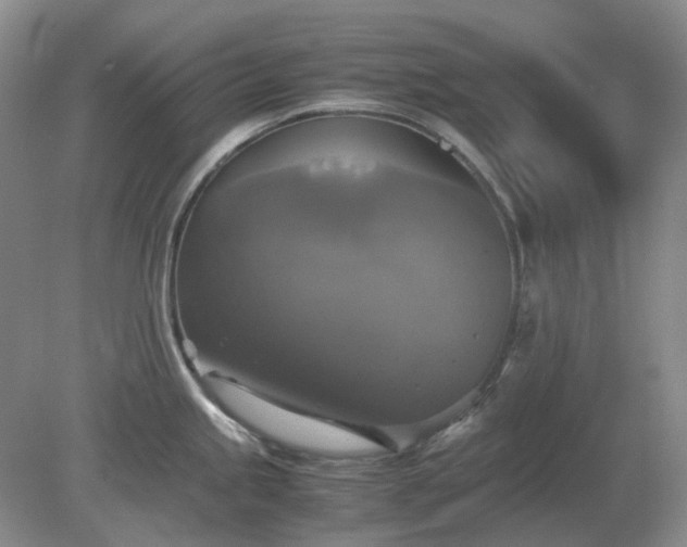 X0000079321245200611251756