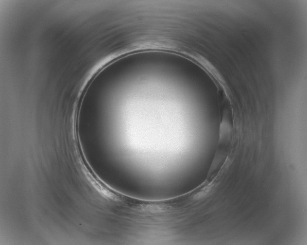 X0000079321246200611251756
