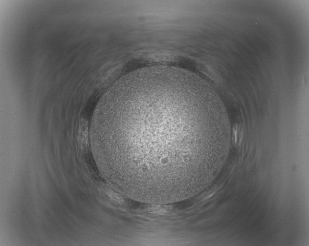 X0000079321251200611251755