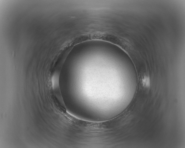 X0000079321252200611251755