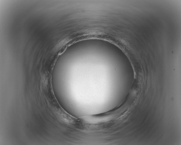 X0000079321257200611251755