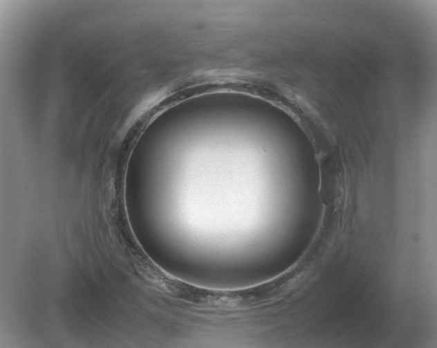 X0000079321261200611251755