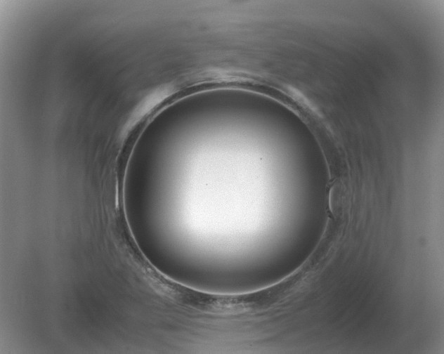 X0000079321269200611251755
