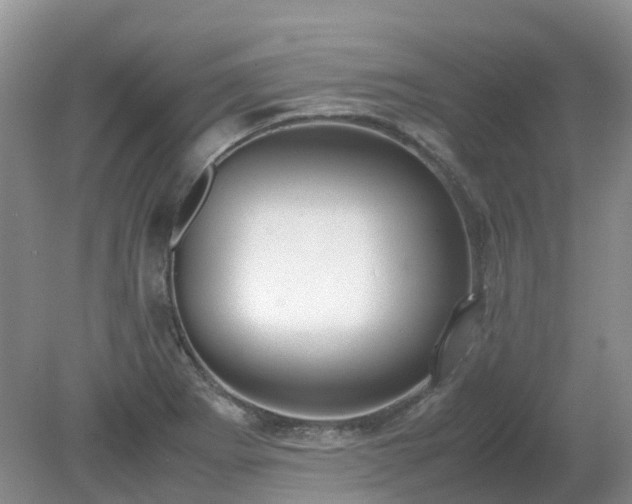 X0000079321273200611251755