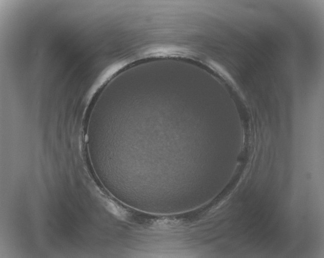 X0000079321277200611251755