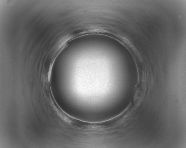 X0000079321281200611251755
