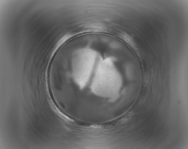 X0000079321283200611251755