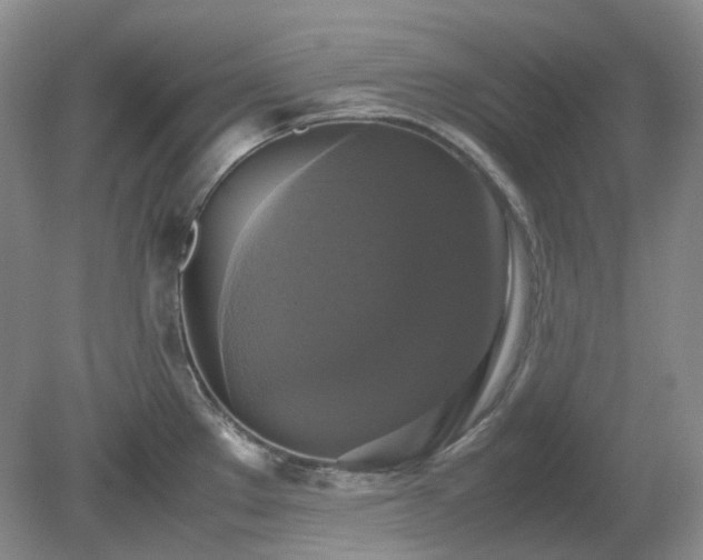 X0000079321289200611251755