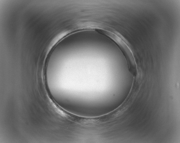 X0000079321293200611251755