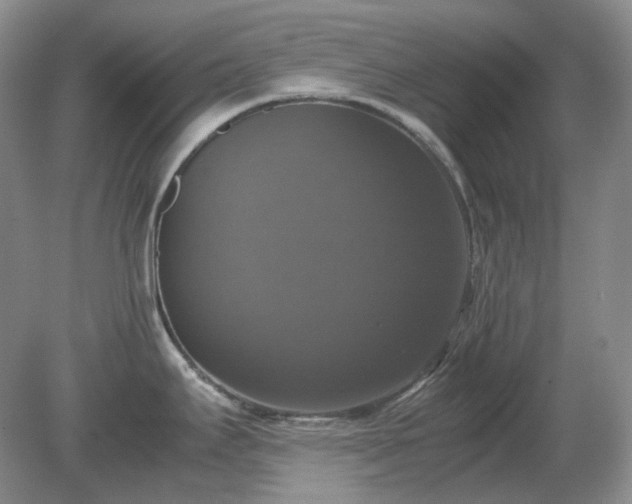 X0000079321295200611251755