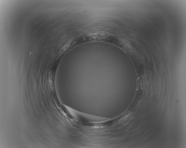 X0000079321298200611251754
