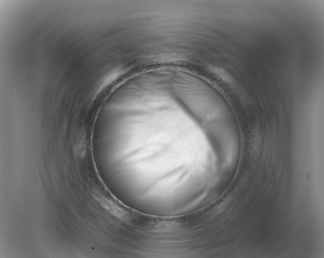 X0000079321306200611251754