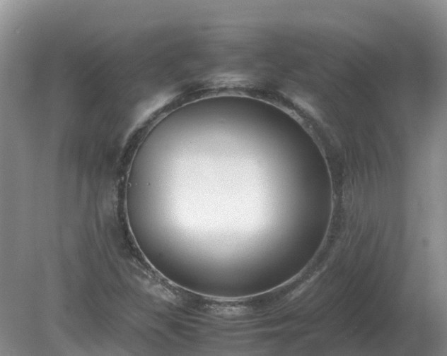 X0000079321309200611251754