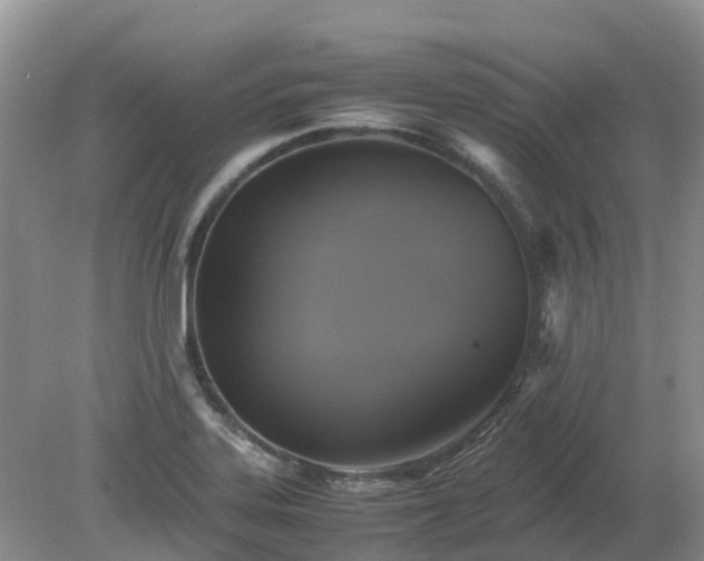 X0000079321323200611251754
