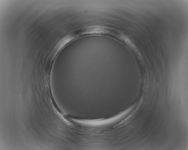 X0000079321329200611251754