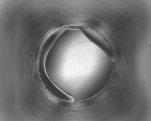 X0000079321332200611251754